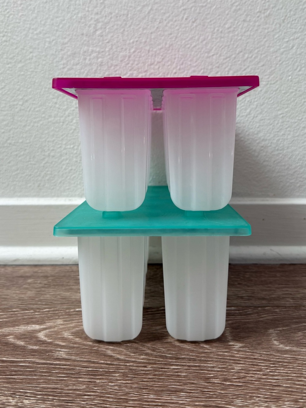 Popsicle/Icecream Mold